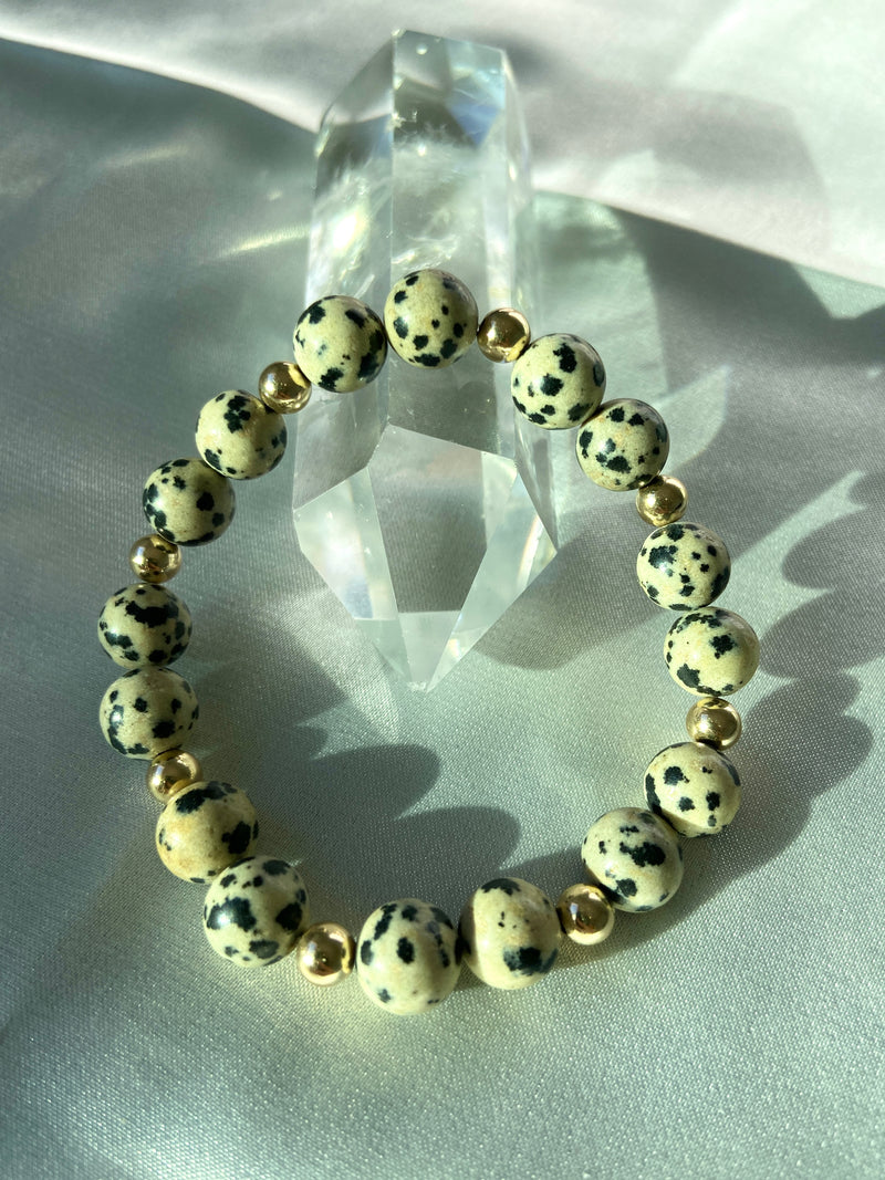 Dalmatian Jasper Bracelet