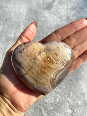 Petrified Wood Heart 35