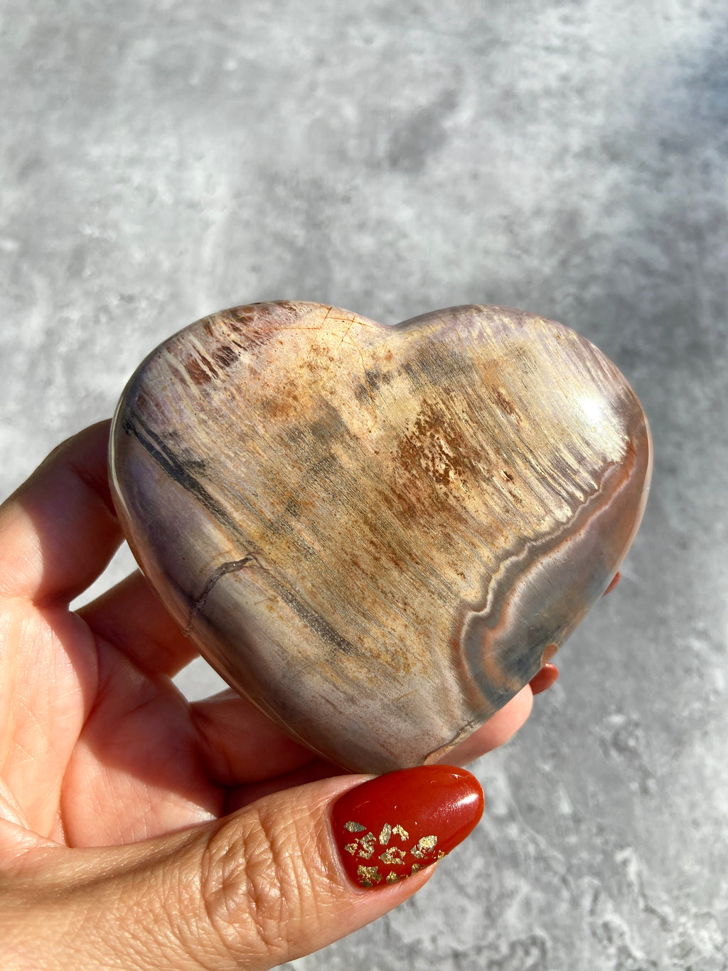 Petrified Wood Heart 35