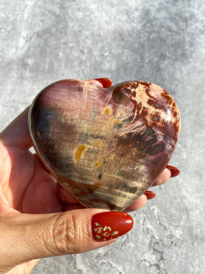 Petrified Wood Heart 38