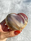 Petrified Wood 40B