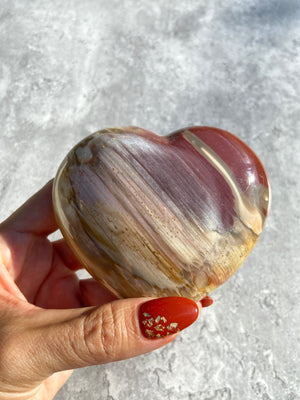 Petrified Wood 40B