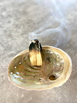 Abalone Shell