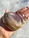 Petrified Wood 40B